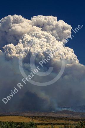 Pyrocumulus cloud created by a wildfire near Boise, Idaho, USA.
