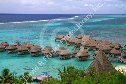 Thatched roof lagoon bungalows at Sofitel Moorea Ia Ora Beach Resort, Moorea, French Polynesia.