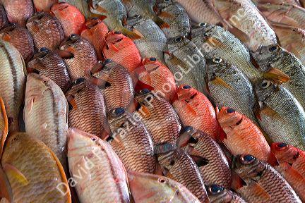 Colorful fish display at the Papeete Market on the island of Tahiti, French Polynesia.