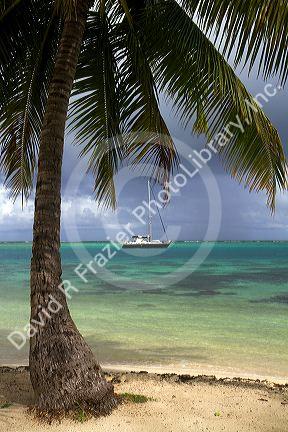 Palm trees and sail boat at Moorea, French Polynesia.