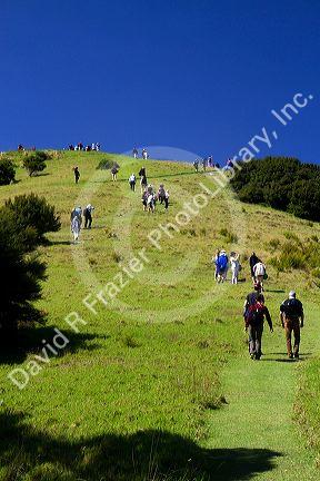 Tourists hike on an island in the Bay of Islands, North Island, New Zealand.