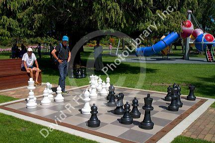 Outdoor chess game in a park at Taupo in the Waikato Region, North Island, New Zealand.