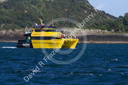 A dolphin viewing tour boat in the Bay of Islands, North Island, New Zealand.
