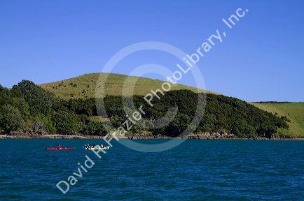 Kayaking in the Bay of Islands, North Island, New Zealand.