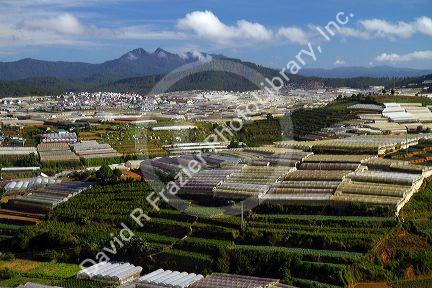 View of greenhouses used to grow plants and vegetables for domestic and export consumption in the Da Lat basin, Vietnam.