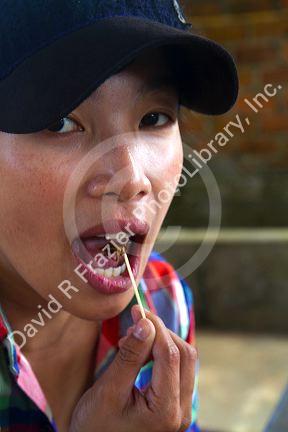 Tourists eat crickets at farm in the Lam Dong Province, Vietnam.