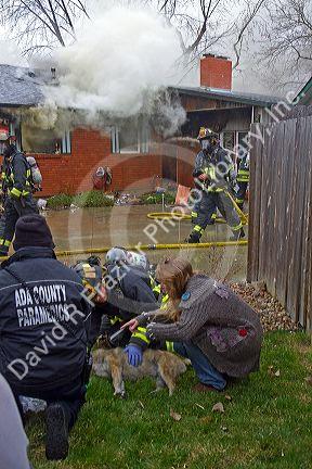 Firefighters revive a dog with oxygen rescued from a house fire in Boise, Idaho, USA.
