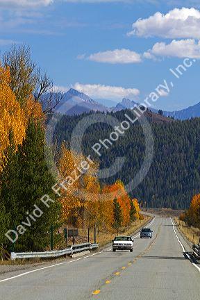 Trees in autumn color along Highway 75 near Ketchum, Idaho, USA.