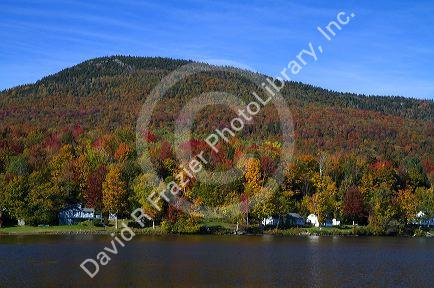 Fall foliage at Lake Elmore in Lamoille County, Vermont, USA.