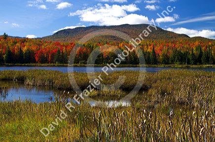 Fall foliage at McAllister Pond in Orleans County, Vermont, USA.
