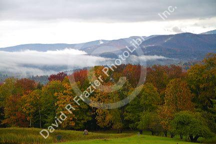 Fall foliage on a misty moring near Stowe, Vermont, USA.