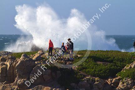 Pacific ocean waves and surf off the coast of Monteray, California, USA.