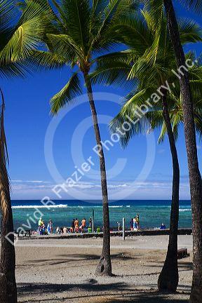 Beach and palm trees at Kailua-Kona on the Big Island of Hawaii, Hawaii, USA.