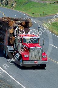 Truck hauling logs in Northern Idaho.