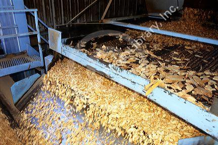 Wood chips being shredded for making paper.