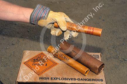 A person holding sticks of dynamite.