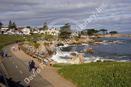 People jogging and walking along the rocky shore in Monterey, California.