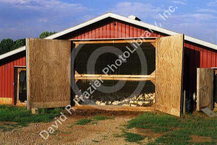 A chicken coop in Georgia.