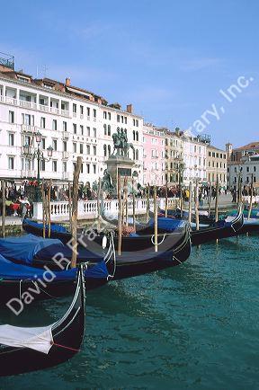 Goldolas lined up in Venice, Italy near Piazza San Marco.