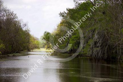 Bayou outside new Orleans, Louisiana.
