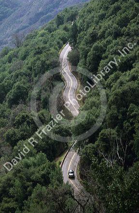 Winding road to Sequoia National Park, California.