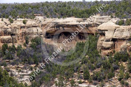 Cliff dwellings in Mesa Verde, Colorado.