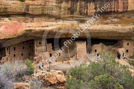 Cliff dwellings in Mesa Verde, Colorado.  Spruce tree site.