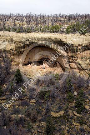 Cliff dwellings in Mesa Verde, Colorado.