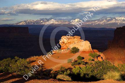 Rock formations at Canyonlands National Park near Moab, Utah.