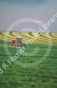Swather harvesting hay along the Snake River near Grandview Idaho.