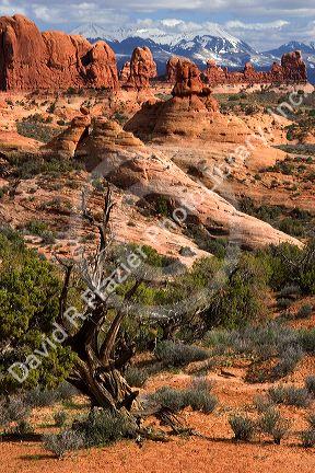 Rock formations at Arches National Park near Moab, Utah.