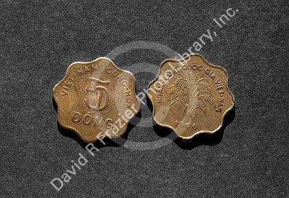 Vietnam five dong coin 1969.
