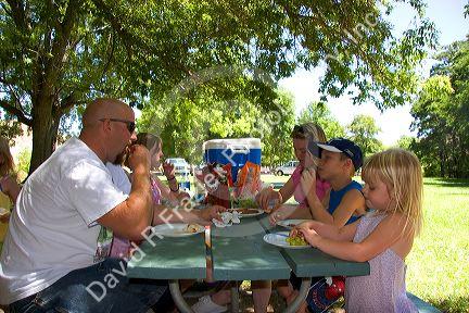 Family having a picnic lunch in the park. MR