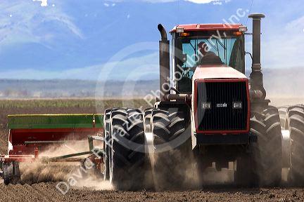 Four wheel drive tractor with dual tires planting wheat in Camas County, Idaho.