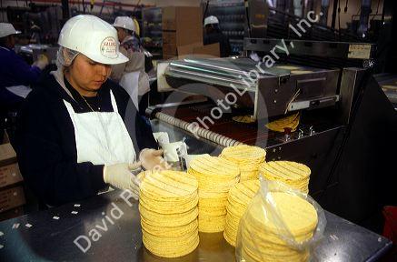 Corn tortilla factory in Caldwell, Idaho.