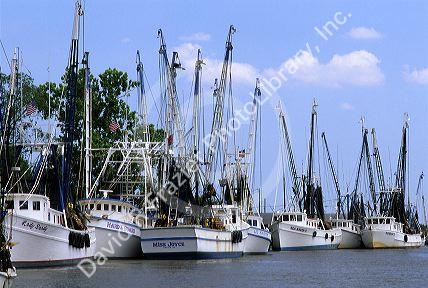 Shrimp boats on the Sapelo River at Darien, Georgia.