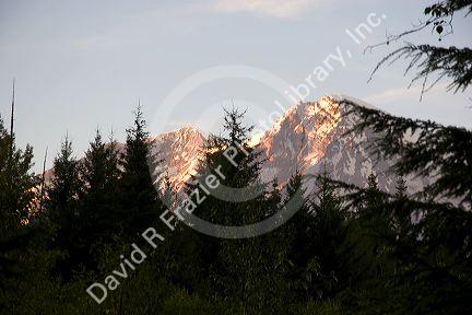 Mt. Rainier in Mt. Rainier National Park, Washington.