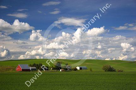 Eastern washington wheat farm with rolling hills and clouds.