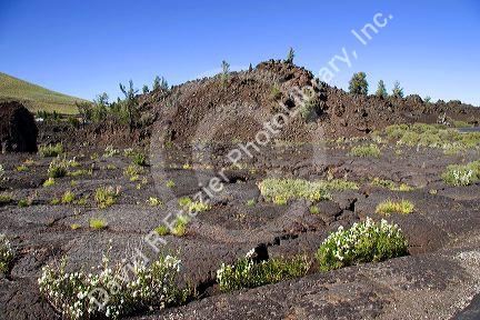 Landscape view of Craters of The Moon National Monument in Idaho.
