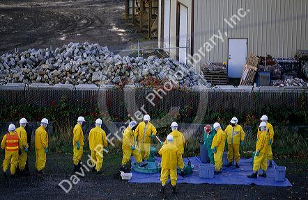 A haz-mat team cleans a site and decontaminates workers in Seattle, Washington.