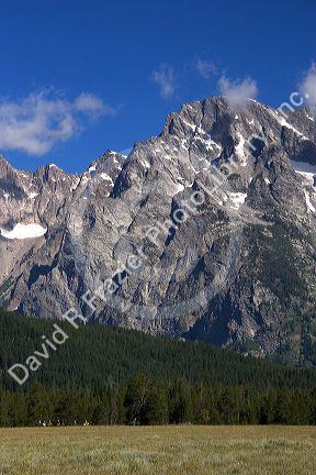 Horseback riding in Grand Teton National Park, Wyoming beneath Mt. Moran.