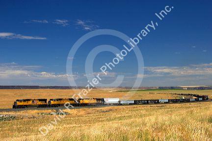 Union Pacific train in Elmore County, Idaho.
