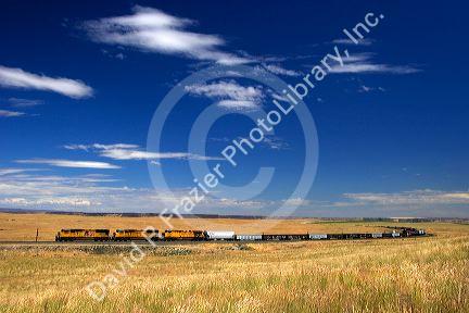 Union Pacific train in Elmore County, Idaho.