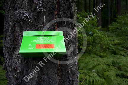 An insect trap placed by scientists to determine which insects are present in an area.  This one was placed in the Mount Rainier National Park, Washington.