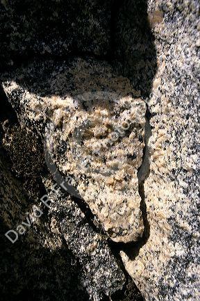 Granite boulder with a crack caused by freezing and ice.