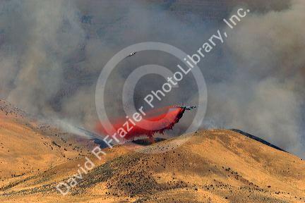 A C-130 airplane drops fire retardant on the Homestead Fire in the Boise foothills, Idaho.