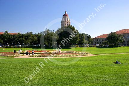 The campus at Stanford University in Palo Alto, California.