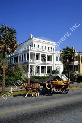 A horse and carriage ride through historic Charleston, South Carolina.
