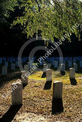 The National Cemetery in Florence, South Carolina.