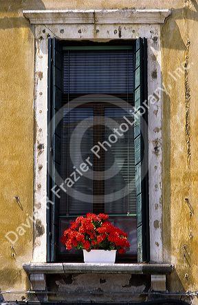 An apartment window with flowers in Venice, Italy.